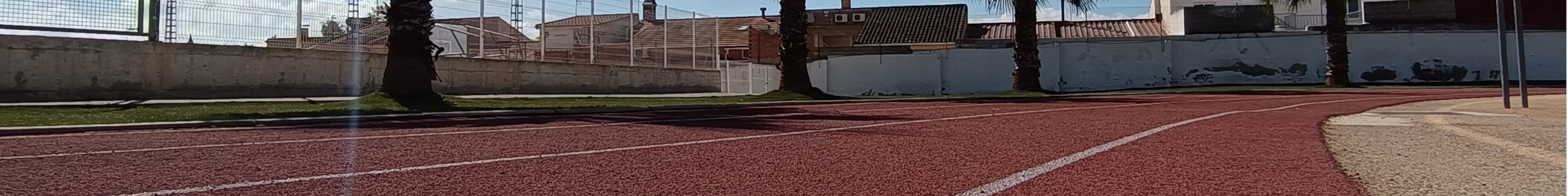 Polideportivo Municipal_2