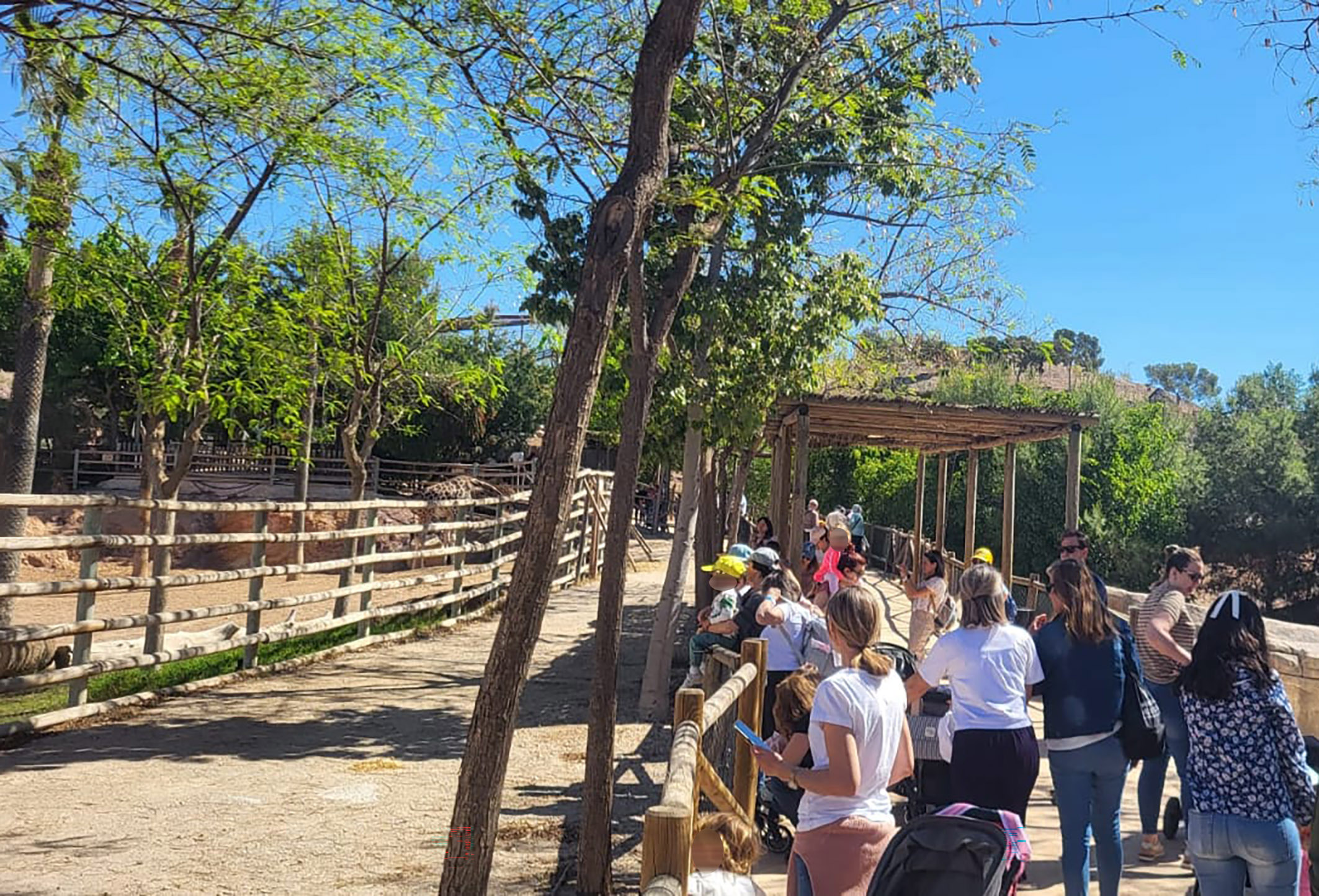 Las escuelas infantiles se van de excursión a Terra Natura