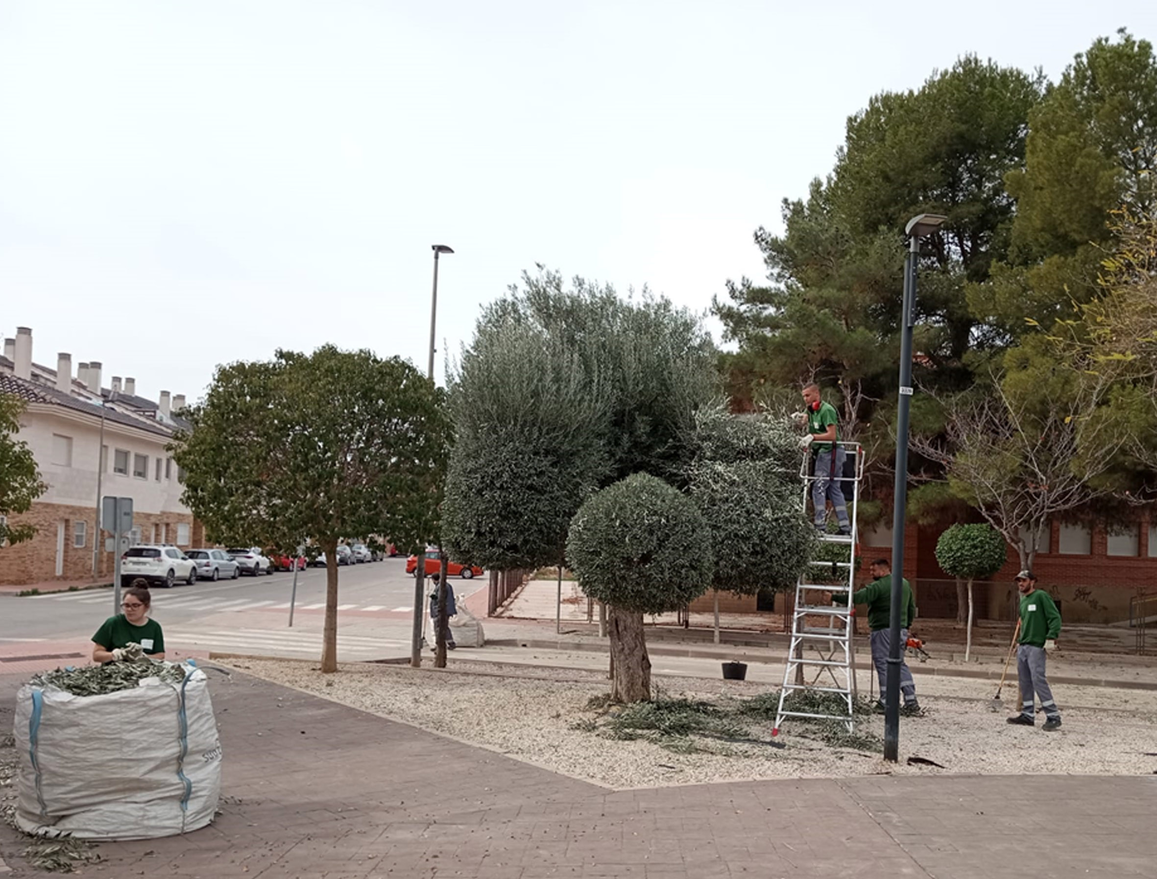Un programa experiencial de jardinería subvencionado por el SEF se desarrollará en el Parque de la Antena