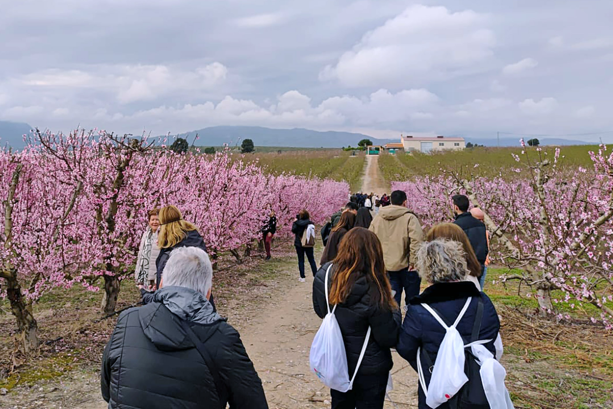 162 personas celebran el día internacional de la mujer con una jornada de convivencia por Cieza y el valle de Ricote 