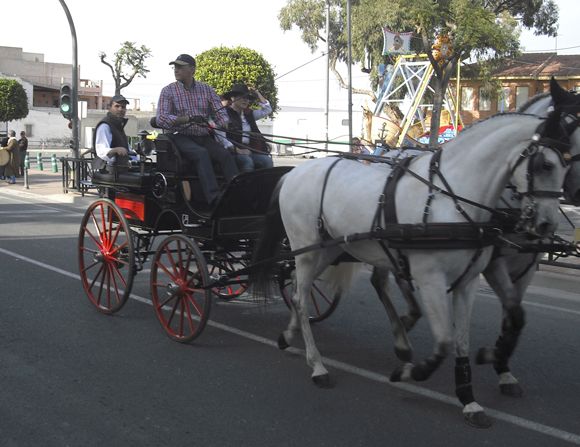 La Blanca Paloma, protagonista un a+¦o m+ís en Las Torres de Cotillas 2