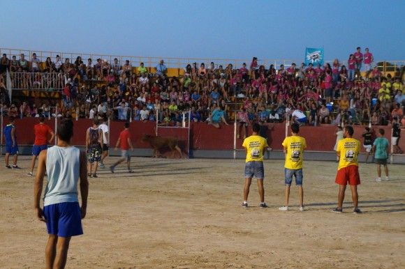 Suelta de vaquilla - Fiestas de Las Torres3