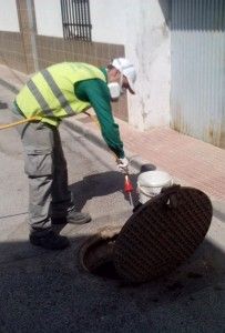 Tratamiento anual de desratización y desinsectación - Las Torres de Cotillas