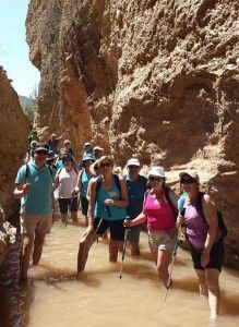 Los Peregrinos de Las Torres de Cotillas visitaron la zona del río Chícamo3