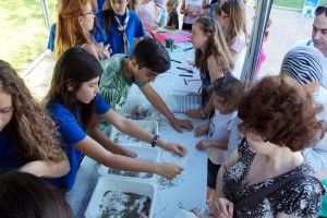 Los niños, grandes protagonistas de la gran feria “Las Torres más limpia” para conmemorar el “Día del Medio Ambiente”6