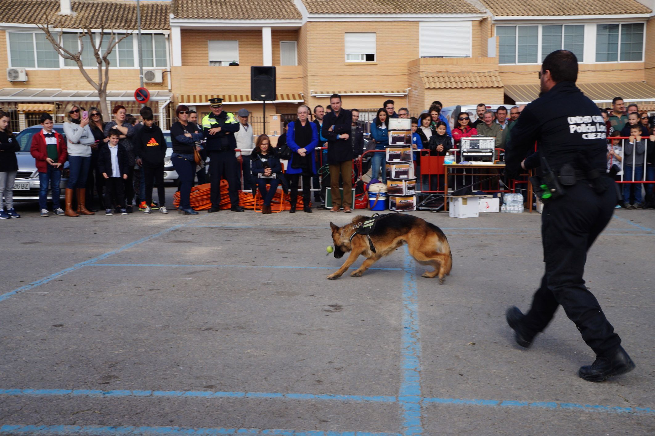 Exhibición canina Las Torres de Cotillas3