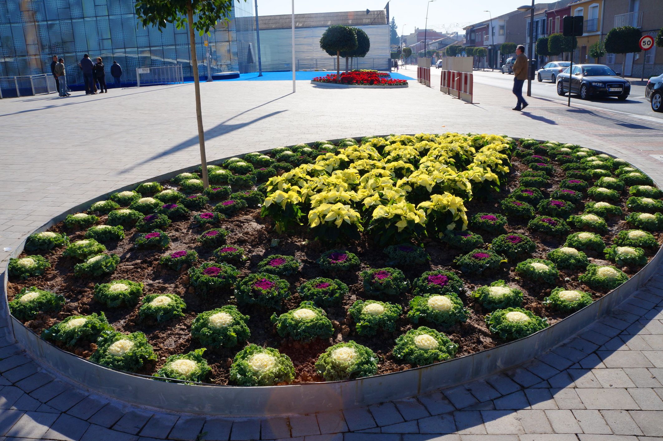 La Concejalía de Medio Ambiente renueva parte de las zonas verdes municipales con flor de temporada