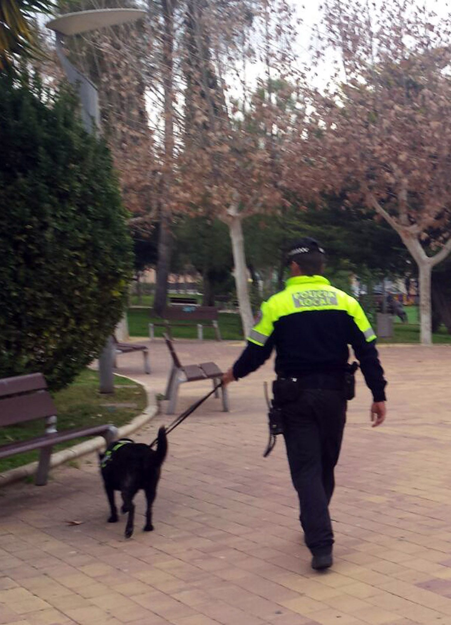 Unidad canina de la Policía Local torreña