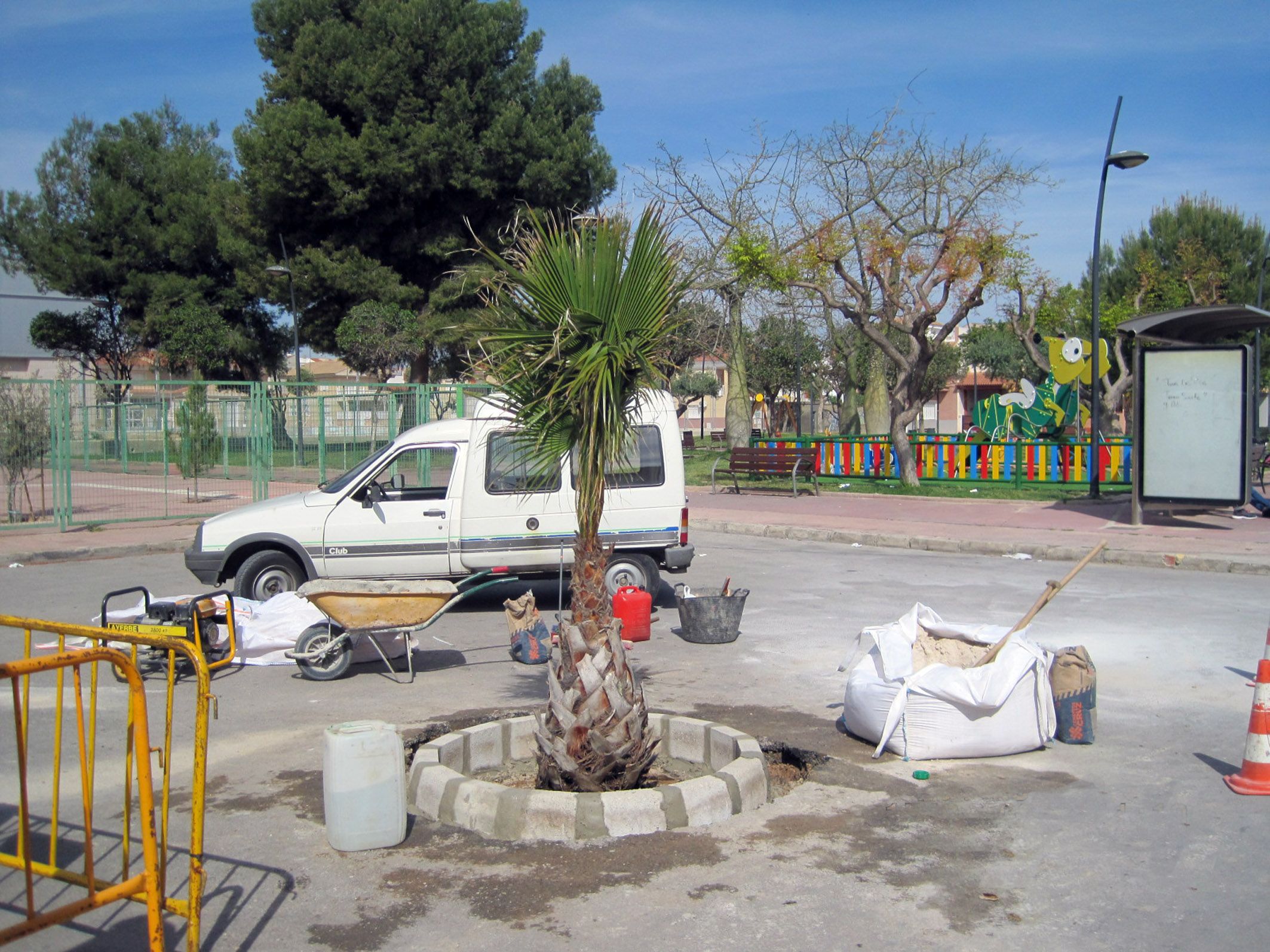 Comienzan las labores de reposición de arbolado en Las Torres de Cotillas