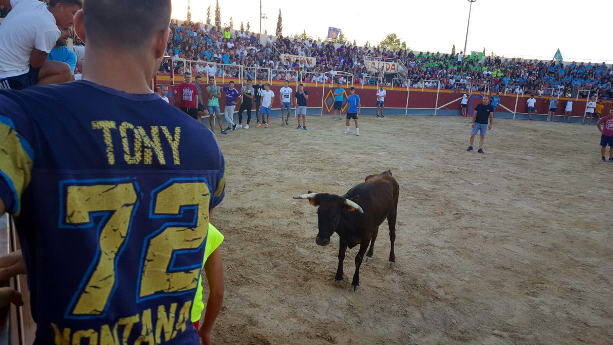 2ª suelta de vaquillas - Fiestas de Las Torres de Cotillas