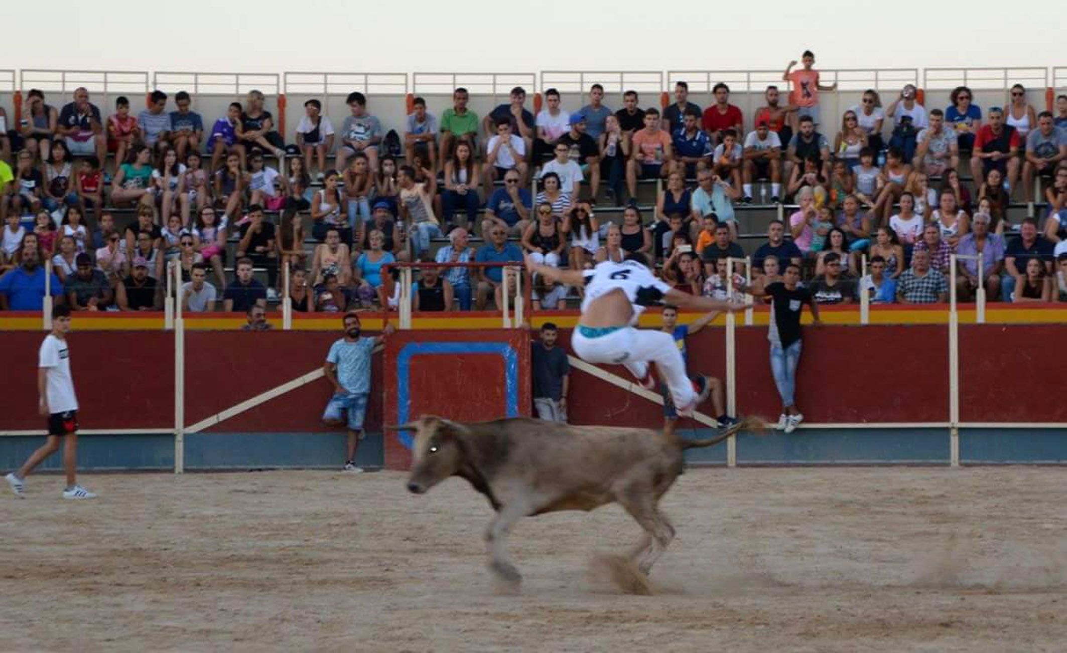 2ª suelta de vaquillas - Fiestas de Las Torres de Cotillas3