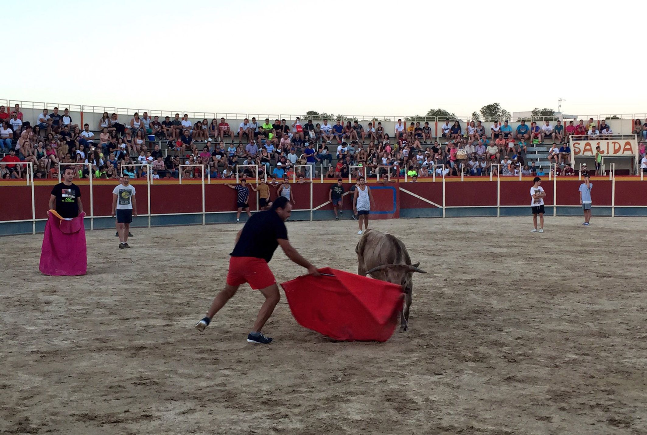 3ª suelta de vaquillas - Fiestas de Las Torres de Cotillas