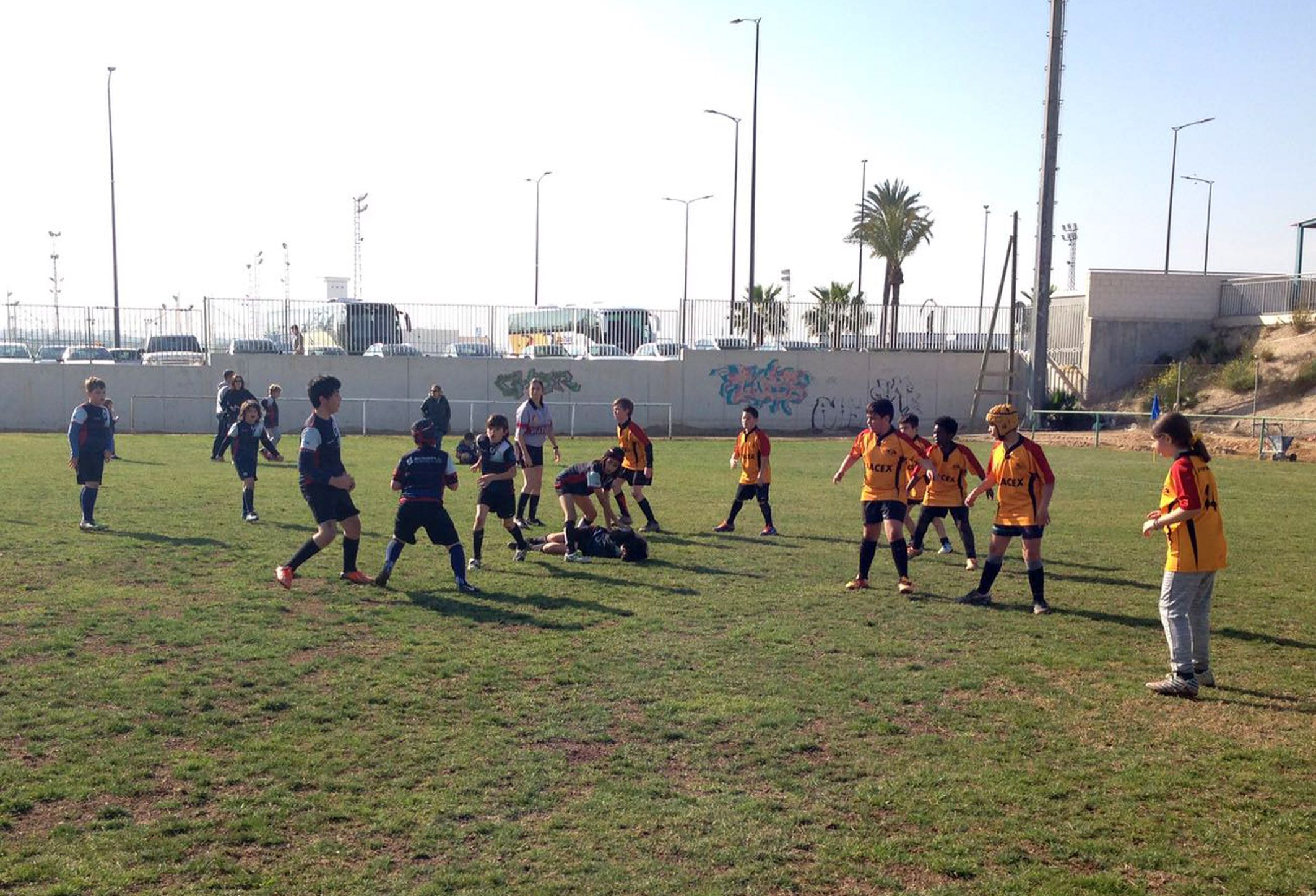 Cerca de 250 participan en Las Torres de Cotillas en el campeonato de escuelas de la FERRMUR5