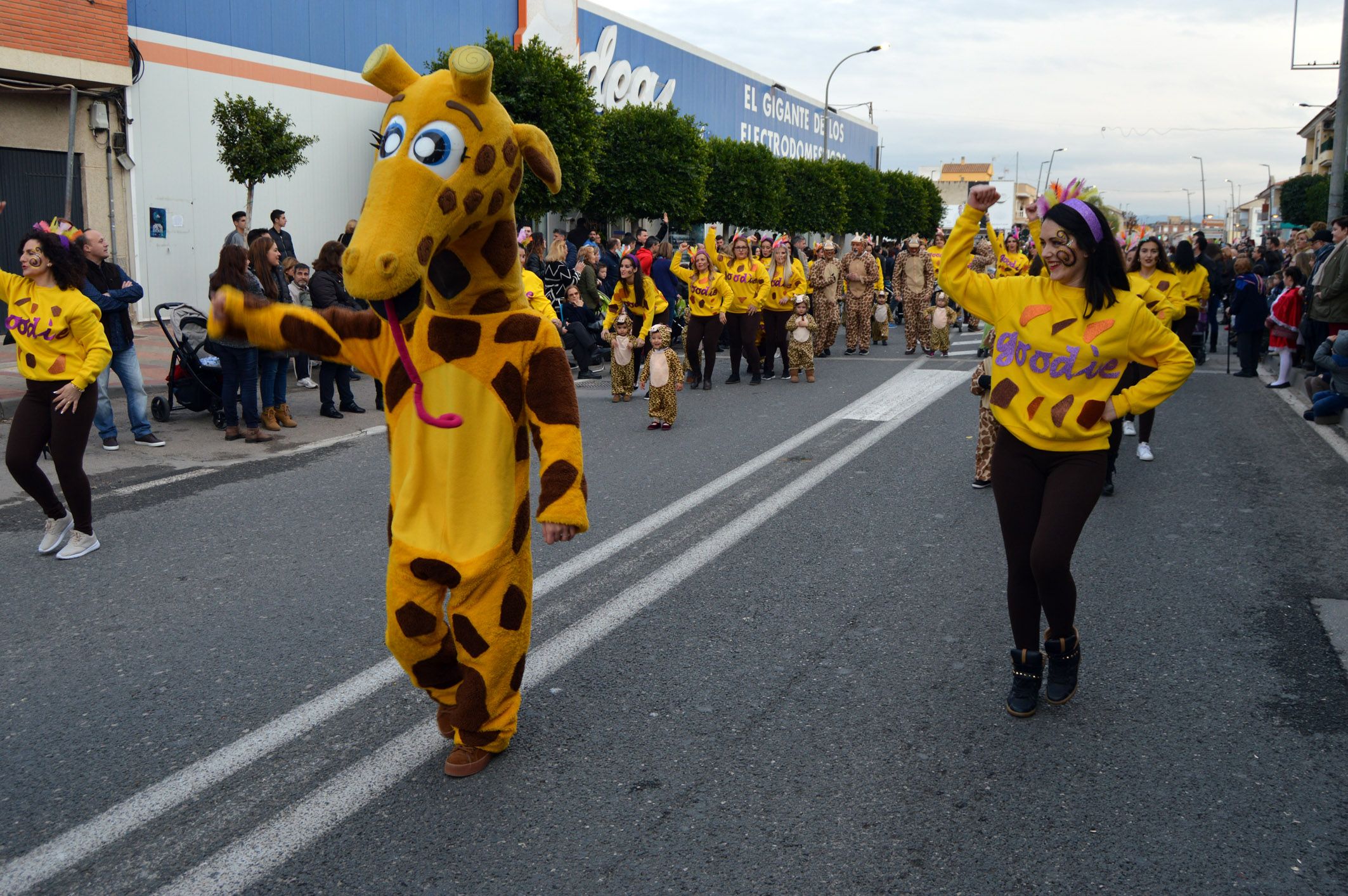 Desfile de Carnaval 2017 - Las Torres de Cotillas7