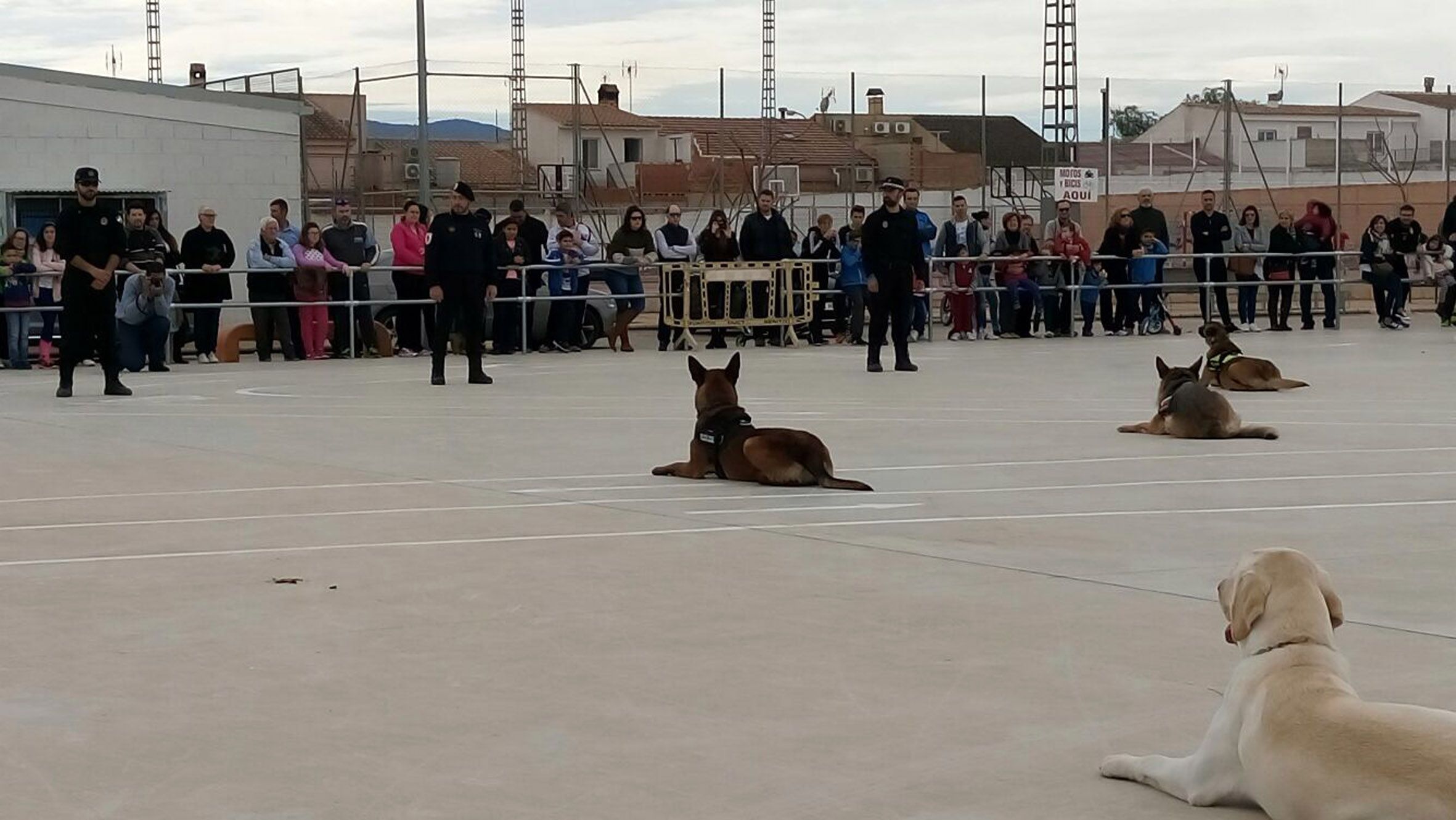 II exhibición unidad canina - Las Torres de Cotillas3