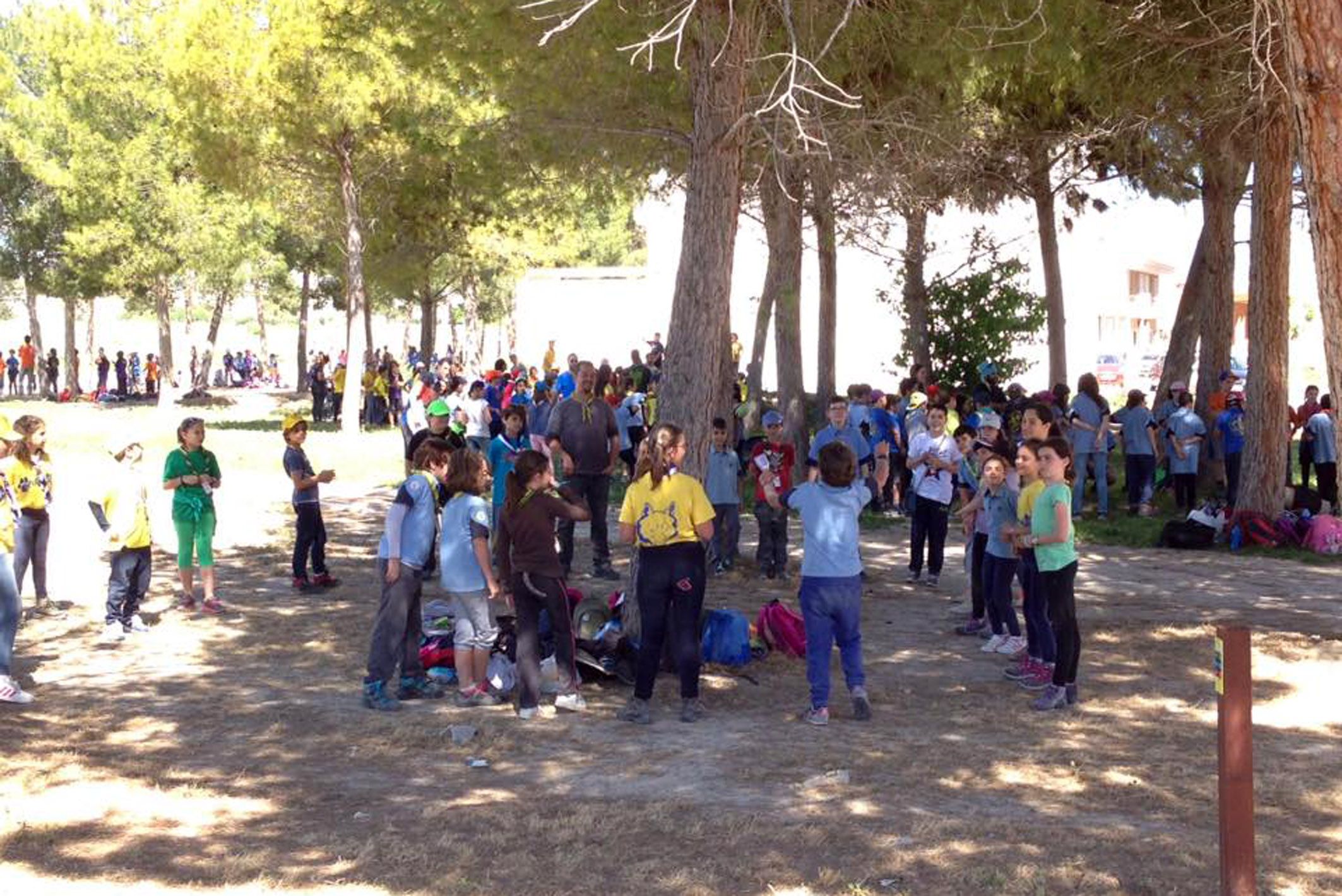 Actividades scout - FestiJorge Las Torres de Cotillas5