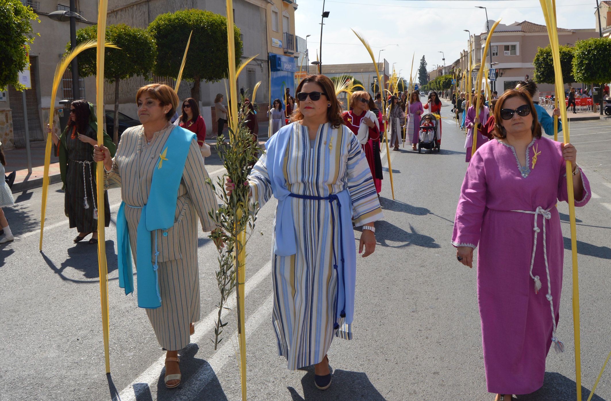 El Domingo de Ramos torreño llena de alegría y bullicio el municipio con sus palmas y ramas de olivo 6