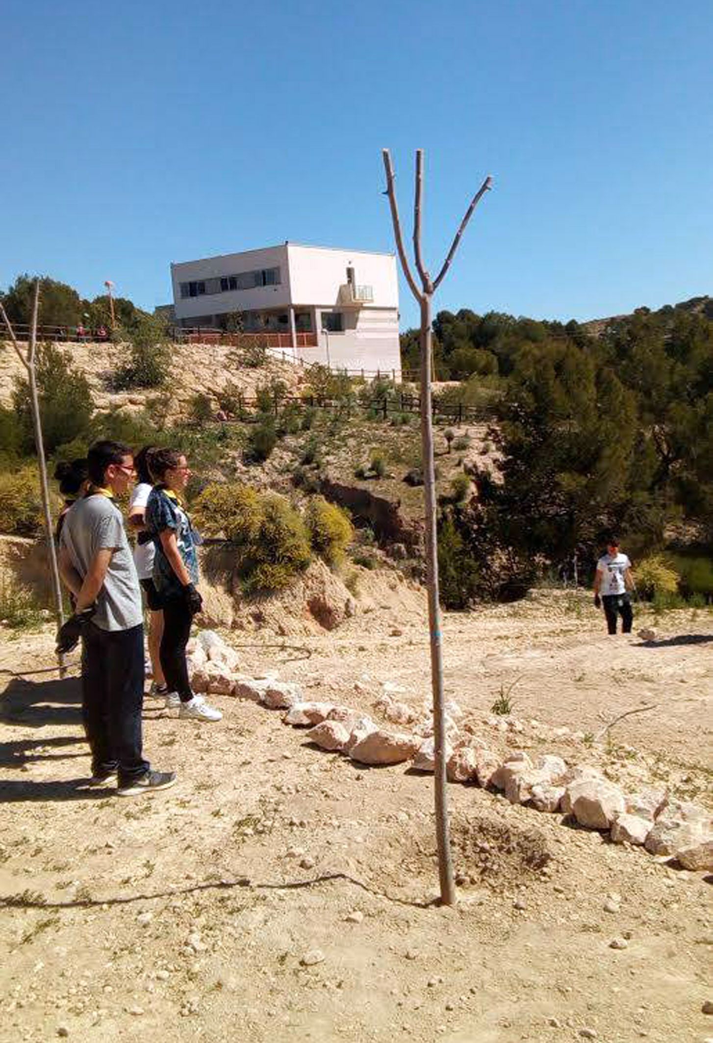 Jornada voluntariado Rambla Salada- Las Torres de Cotillas2