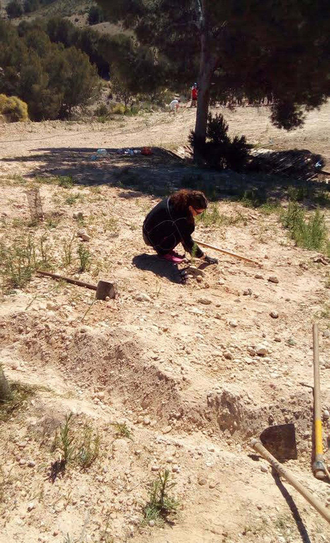 Jornada voluntariado Rambla Salada- Las Torres de Cotillas4