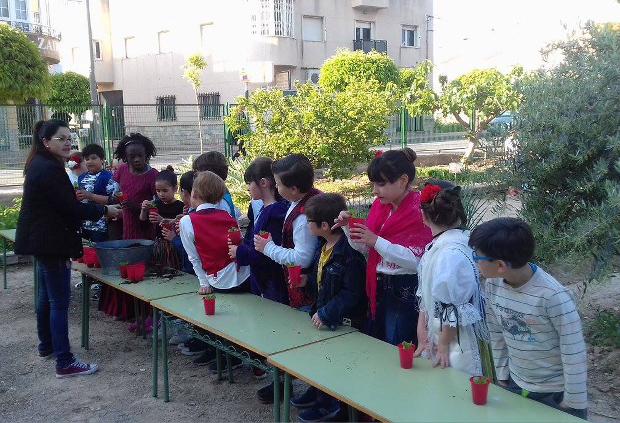 Los alumnos del colegio ‘El Parque’ se educan en la tradición de la huerta murciana4