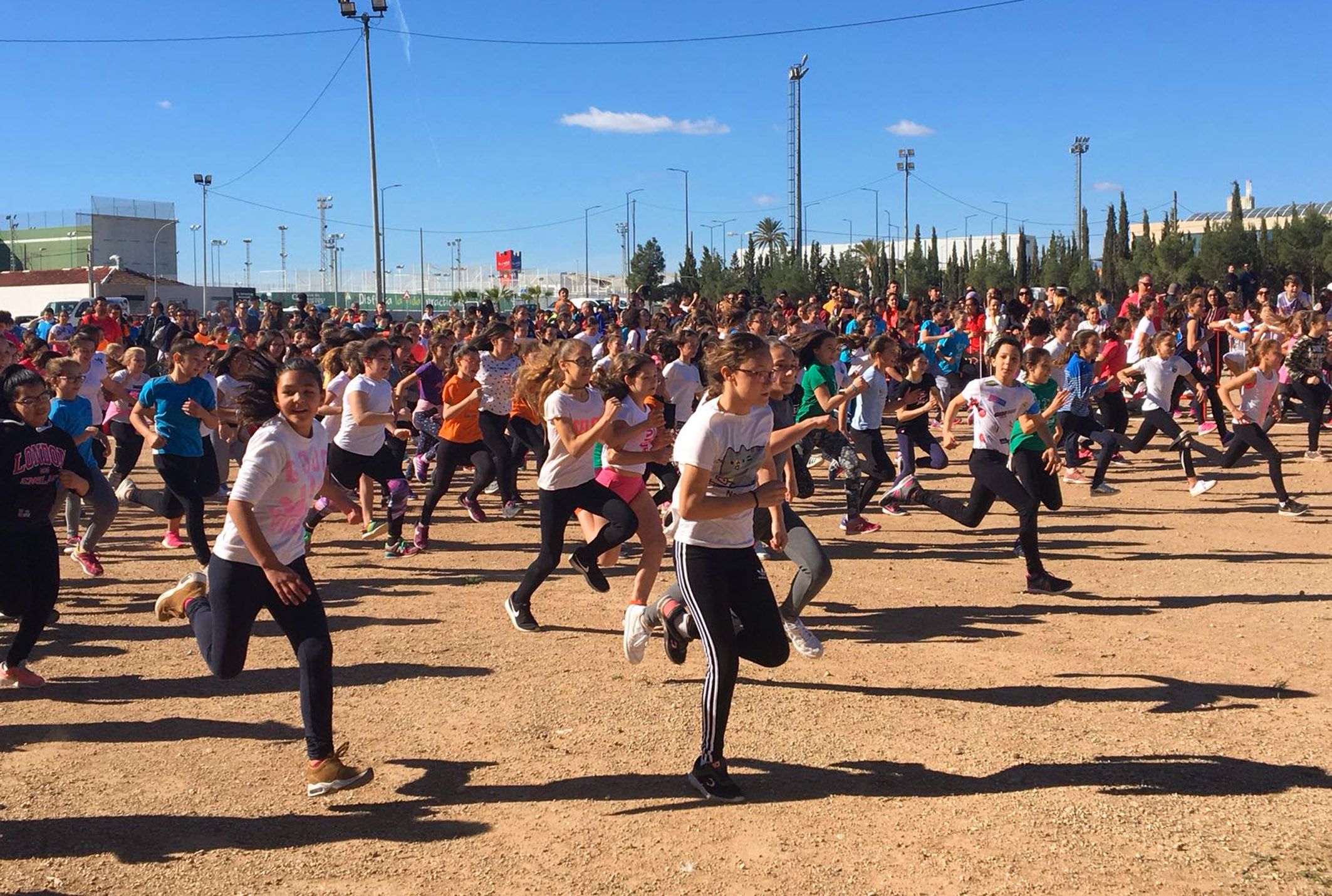 Gran fiesta del deporte en el cross escolar con la participación de 1.325 niños y niñas de los 12 centros docentes torreños2