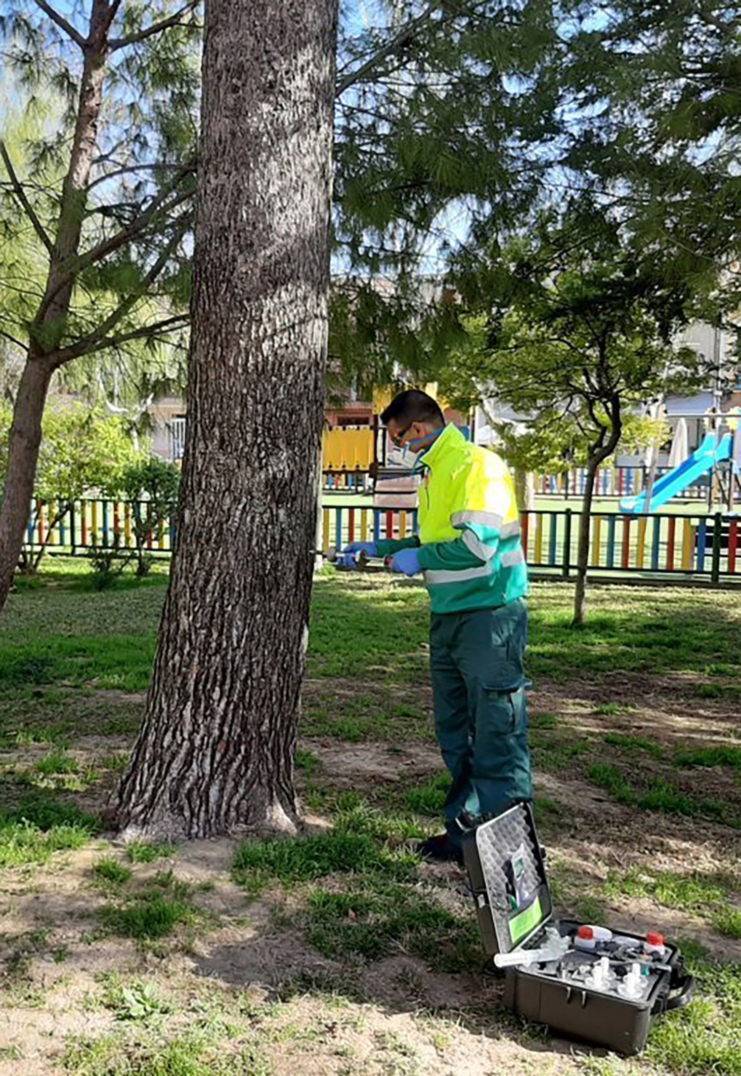 Las Torres de Cotillas combate las plagas de su arbolado con un novedoso sistema de control sostenible3 Las Torres de Cotillas combate las plagas de su arbolado con un novedoso sistema de control sostenible3