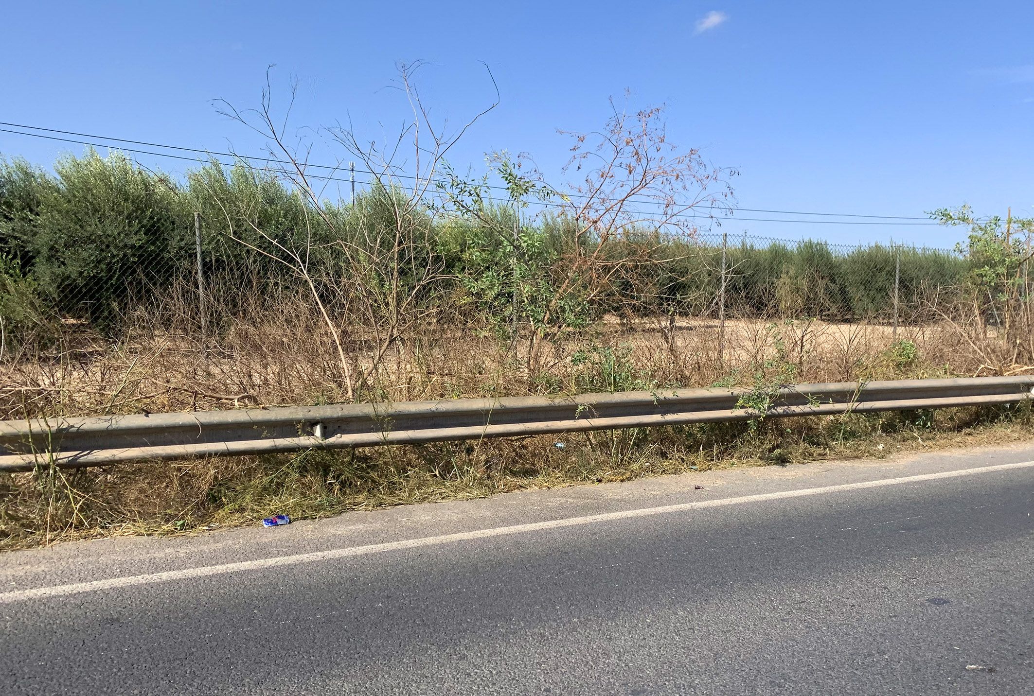 La N 344 gana en seguridad con la poda y limpieza de sus cunetas2