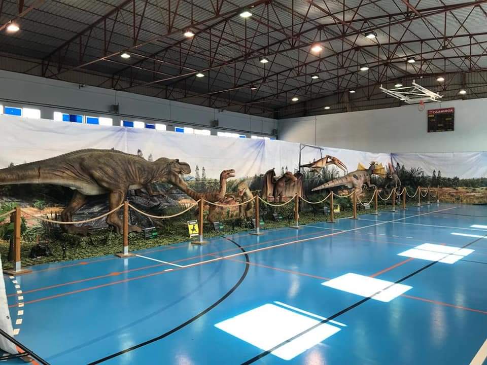210622 Los dinosaurios eligieron el pasado fin de semana las Torres de Cotillas para volver a pisar la Tierra 02 210622 Los dinosaurios eligieron el pasado fin de semana las Torres de Cotillas para volver a pisar la Tierra 02