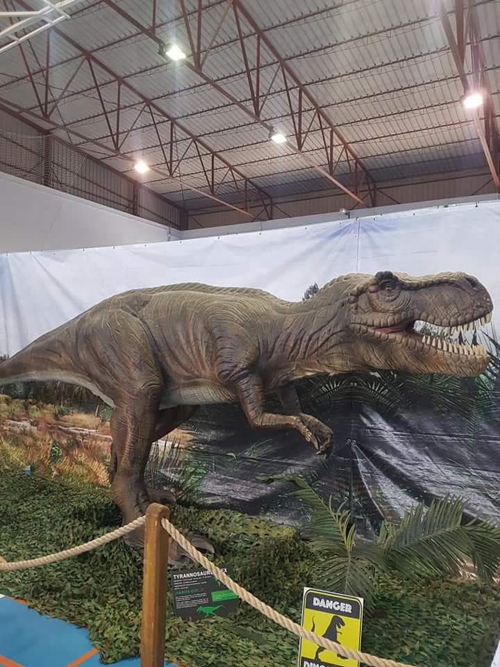 210622 Los dinosaurios eligieron el pasado fin de semana las Torres de Cotillas para volver a pisar la Tierra 04 210622 Los dinosaurios eligieron el pasado fin de semana las Torres de Cotillas para volver a pisar la Tierra 04