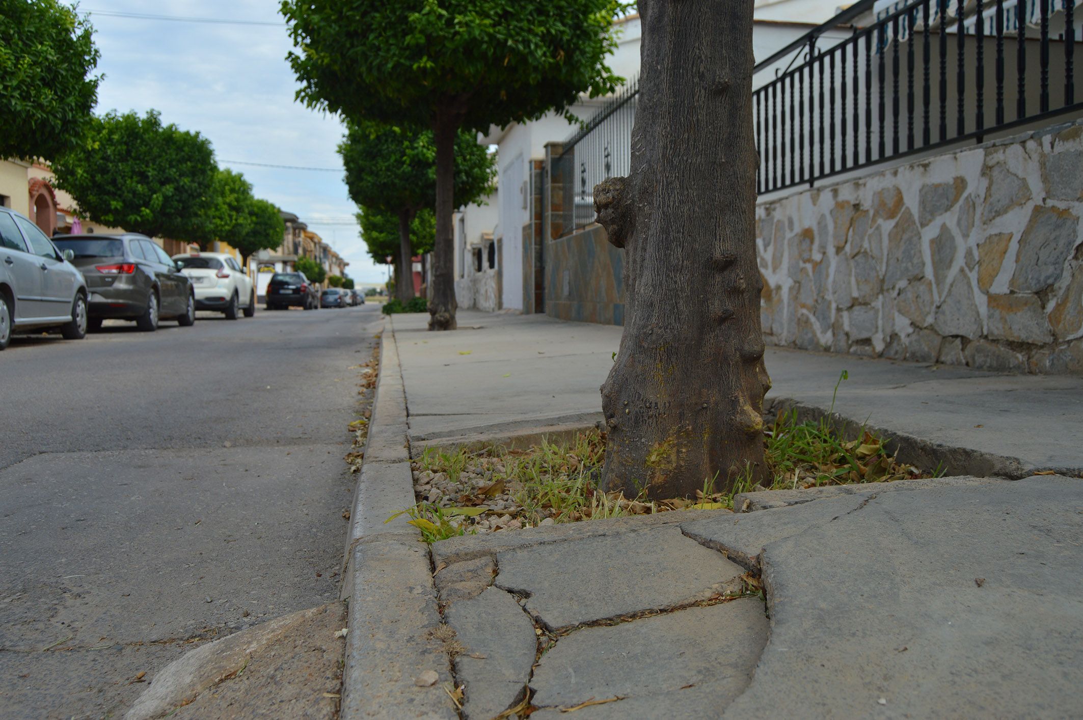 El POS contempla la renovación del firme de la calle Mula y de las infraestructuras urbanas de las calles Pablo Neruda e Isaac Albéniz5