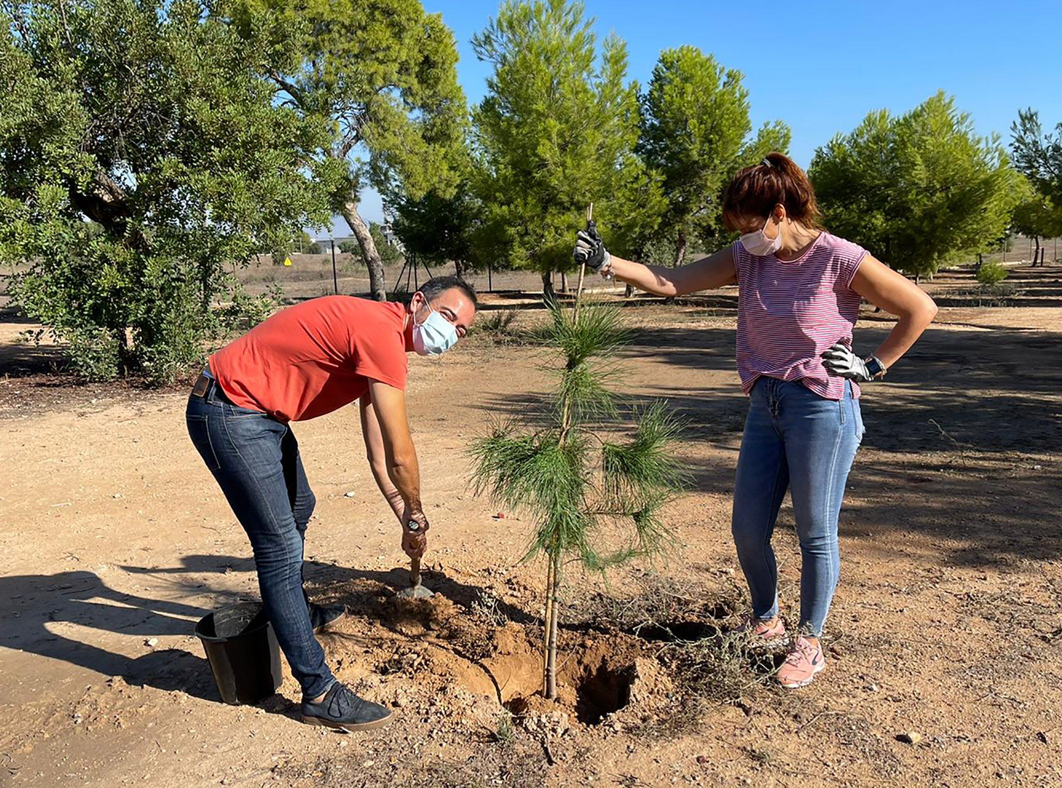 Una jornada familiar de plantación de árboles para celebrar el “Día de las Bibliotecas”4