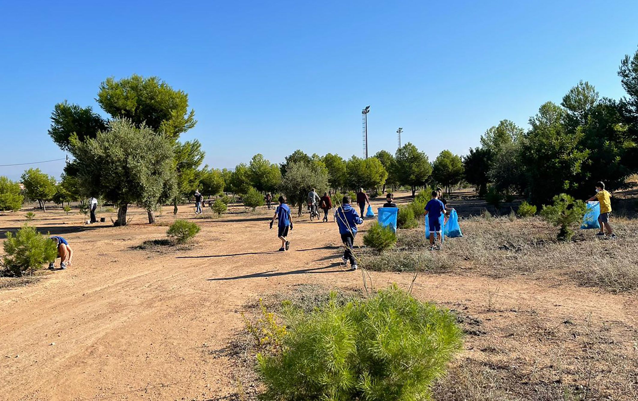 Una jornada familiar de plantación de árboles para celebrar el “Día de las Bibliotecas”6