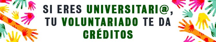 voluntariado-universitario