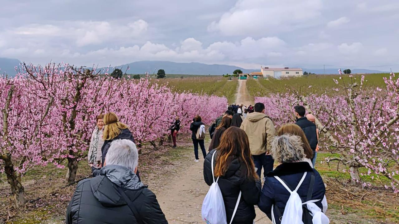 162 personas celebran el día internacional de la mujer con una jornada de convivencia por Cieza y el valle de Ricote