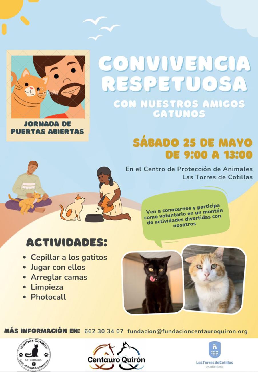 Las Torres de Cotillas propone una jornada para concienciar sobre la responsabilidad de tener un gato y la importancia de su bienestar