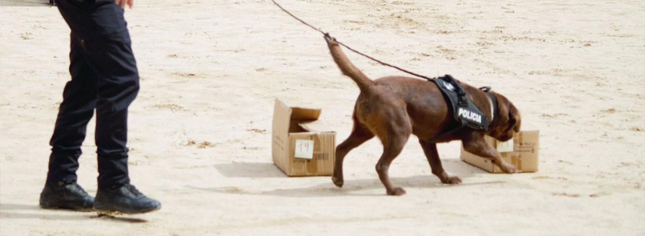 La unidad canina de la Policía Local participa en una exhibición en Abarán