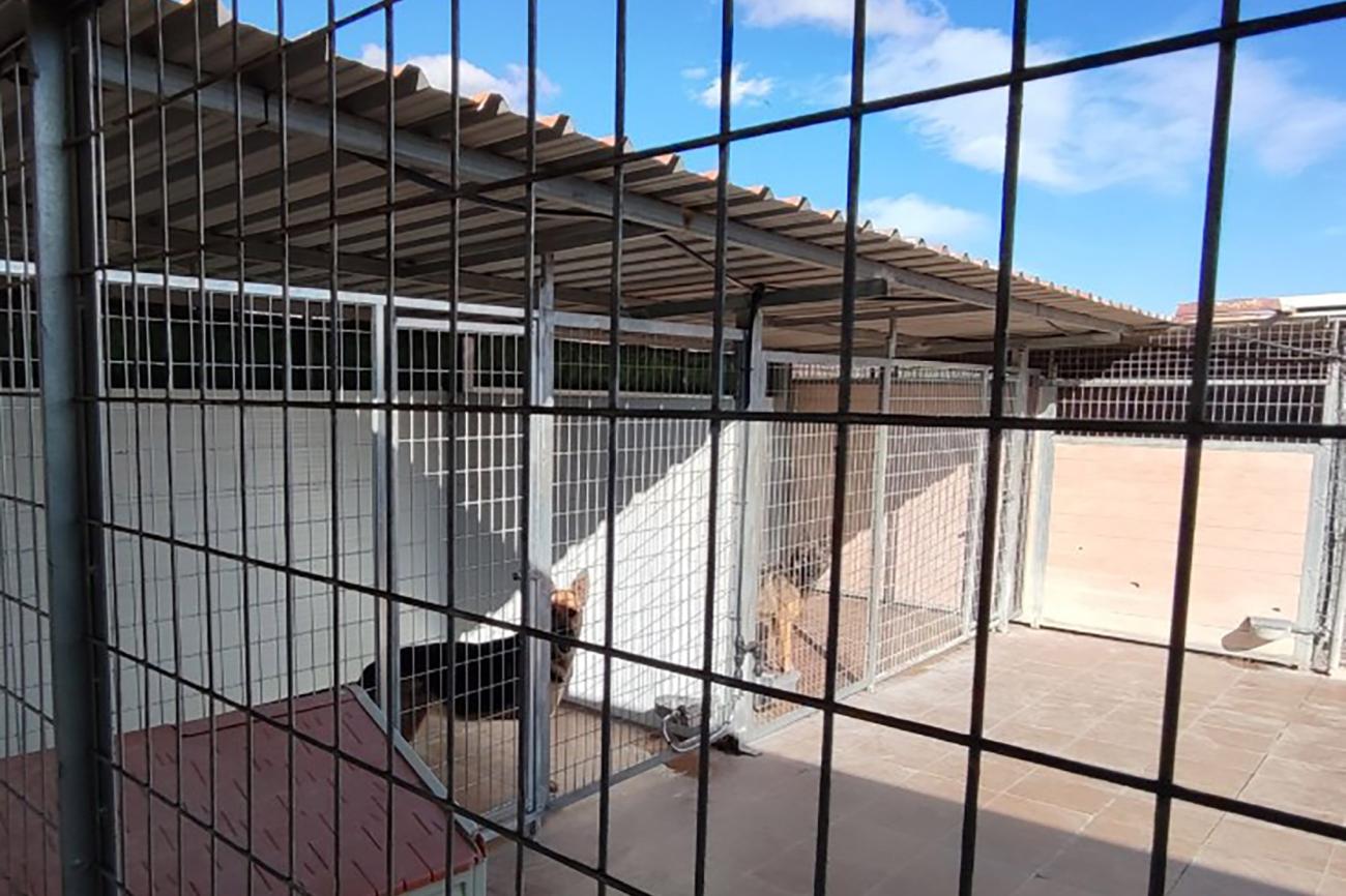 El Centro de Protección Animal amplía sus instalaciones para mejorar la atención a los animales vagabundos 