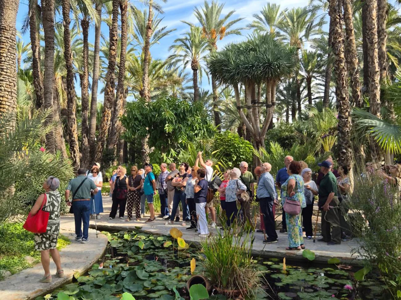 Los mayores torreños celebran su día con una jornada de convivencia y turismo en Elche